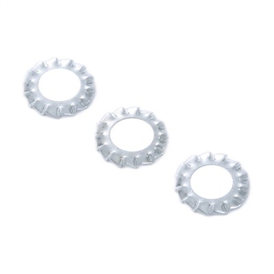 Gasket Model Gasket Model